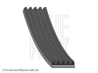 Curea transmisie cu caneluri (AD05R1076 BLP) KIA,MITSUBISHI,TATA