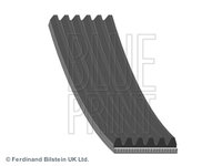 Curea transmisie cu caneluri (AD06R1100 BLP) AUDI,AUDI (FAW),Citroen,CUPRA,NISSAN,PEUGEOT,RENAULT,SEAT,SKODA,SKODA (SVW),VW,VW (FAW),VW (SVW)