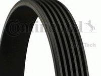 Curea transmisie cu caneluri ALFA ROMEO BRERA (939) (2006 - 2010) CONTITECH 6PK1750