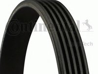 Curea transmisie cu caneluri BMW 5 (E39) (1995 - 2003) CONTITECH 5PK980