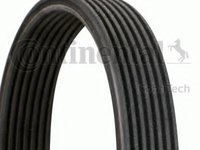 Curea transmisie cu caneluri BMW 5 (F10, F18) (2009 - 2016) CONTITECH 7DPK1884