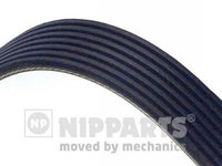 Curea transmisie cu caneluri N1071515 NIPPARTS pentru Toyota Hilux Toyota Tacoma