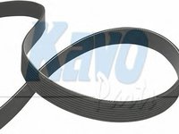 Curea transmisie cu caneluri TOYOTA LAND CRUISER (VDJ20_, UZJ20_) - KAVO PARTS DMV-9114