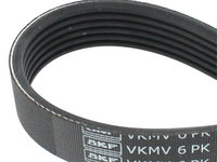 Curea transmisie cu caneluri (VKMV6PK1026 SKF) AUDI,SEAT,SKODA,VW