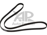 Curea transmisie cu caneluri VOLKSWAGEN POLO (6R, 6C) - OEM - BOSCH: 1987946012|1 987 946 012 - W02601751 - LIVRARE DIN STOC in 24 ore!!!