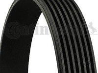 Curea transmisie cu caneluri VW GOLF IV 1J1 CONTITECH 7PK1290