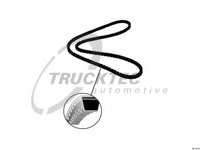 Curea transmisie FORD RANGER (ER, EQ) (1998 - 2006) TRUCKTEC AUTOMOTIVE 01.19.113 piesa NOUA