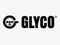 Cuzineti arbore cotit VAN HOOL T-Serie GLYCO 724788STD