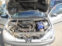 Debitmetru Peugeot 206 1.6B