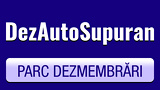 Logo Dezmembrări Auto Daniel