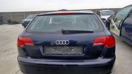 Dezmembram Audi A3 8P/8PA [facelift] [2004 - 2008] Sportback hatchback 5-usi 1.9 TDI MT (105 hp)