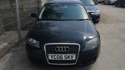 Dezmembrari Audi A3 2006 1.9 TDI BKC cut man TotalDez