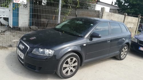 Dezmembrari Audi A3 2006 1.9 TDI BKC cut man 