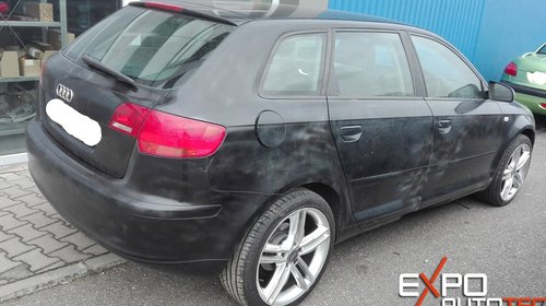 Dezmembrari Audi A3 8P