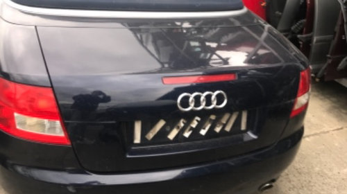 Dezmembrari Audi A4 B7 Cabrio