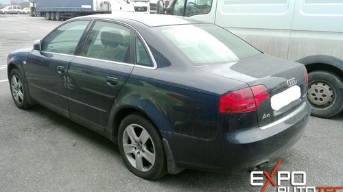 Dezmembrari Audi A4 B7