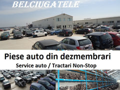 Dezmembrari Belciugatele Srl