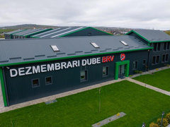 DEZMEMBRARI DUBE