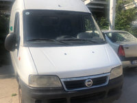 Dezmembrari fiat ducato 2.0 JTD cod motor RHV