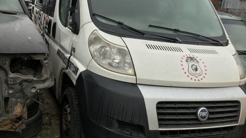 Dezmembrari Fiat Ducato LOCURI 8+1 2009