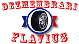 Logo Dezmembrari Flavius