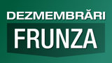 Dezmembrari Frunza