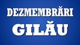 Dezmembrari Gilau