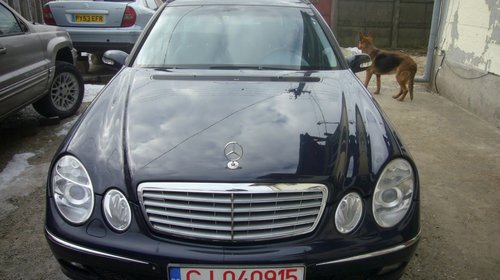 Dezmembrari Mercedes E Class