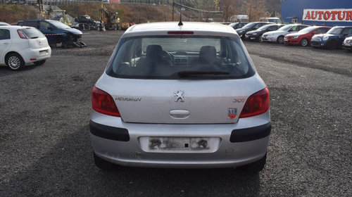 Dezmembrari Peugeot 307 1.4 B 2004 636