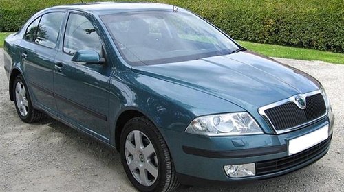 Dezmembrari Skoda Octavia 2 1.9 TDI 105 CP (B