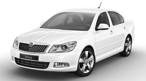 Dezmembrari Skoda Octavia 2 1.9 TDI BLS BXE B