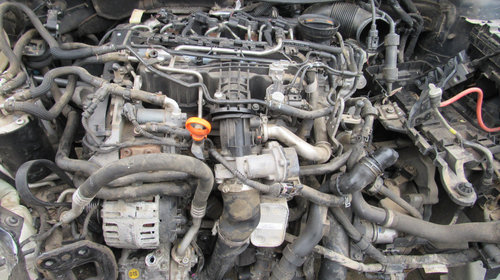 Dezmembrari Volkswagen Golf VI 1.6 tdi din 2011