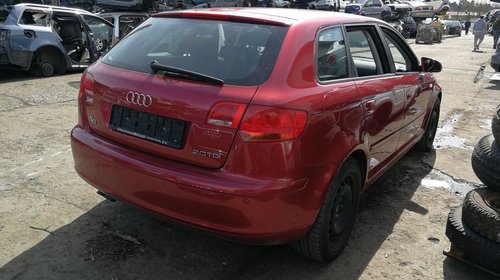 DEZMEMBREZ Audi A3 8P 1.9tdi tip motor BLS tip cutie JLU