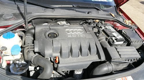 DEZMEMBREZ Audi A3 8P 1.9tdi tip motor BLS tip cutie JLU