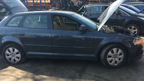 Dezmembrez Audi A3 8P 2008 Hatchback 1.9 TDI