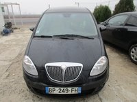 DEZMEMBREZ LANCIA MUSA DIN 2007