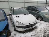 DEZMEMBREZ PEUGEOT 206 BREAK ALB