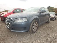 Dezmembrez piese motor Audi A3 (8P), 1.9 tdi, orice piesa!