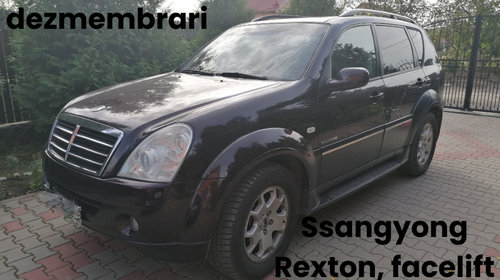 Dezmembrez Renault Clio, Peugeot 206, Ssangyong Rexton