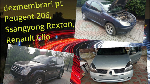 Dezmembrez Renault Clio, Peugeot 206, Ssangyo