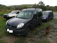 Dezmembrez Renault Kangoo 1.9 d an 2006 de persoane