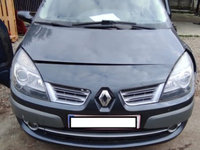 Dezmembrez Renault Scenic 2 2009 hatchback 1.9DCi