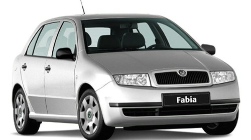 Dezmembrez skoda fabia