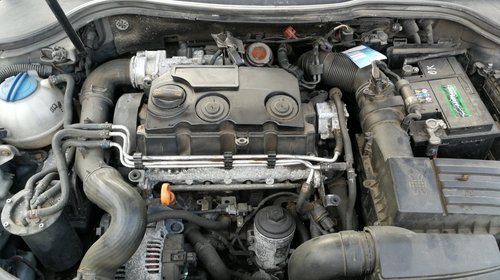 DEZMEMBREZ Volkswagen Passat 3C B6 tip motor BMP tip cutie HDV