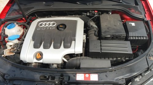 Dezmenbrez audi a3 8p in 2 usi an 2004 2.0 tdi bkd