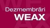 Logo DEZWEAX