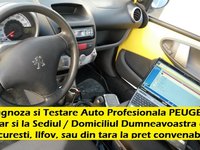 Diagnoza PEUGEOT Testare la Domiciliu