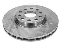 Disc frana 215 521 0015 MEYLE pentru Alfa romeo 166