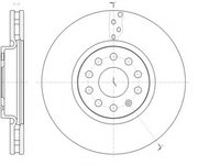 Disc frana 61479 10 ROADHOUSE pentru Seat Alhambra Vw Sharan Vw Tiguan