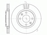 Disc frana 6603 10 REMSA pentru CitroEn C4 CitroEn Berlingo Peugeot Partner Peugeot Ranch Peugeot Grand Peugeot 208 CitroEn Xsara Peugeot 206 CitroEn Ds3 CitroEn C5 Peugeot 307 CitroEn C3 CitroEn C2